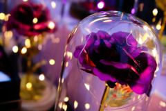 315412336_149877277757441_9141516305316838649_n