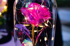 315460352_149877311090771_4645369762579010682_n