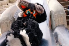 316802814_152688154143020_2027409448553628762_n